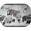 MARS 5 LRF 320 3-12X 12 MICRON Smart HD Thermal Rifle Scope ATN