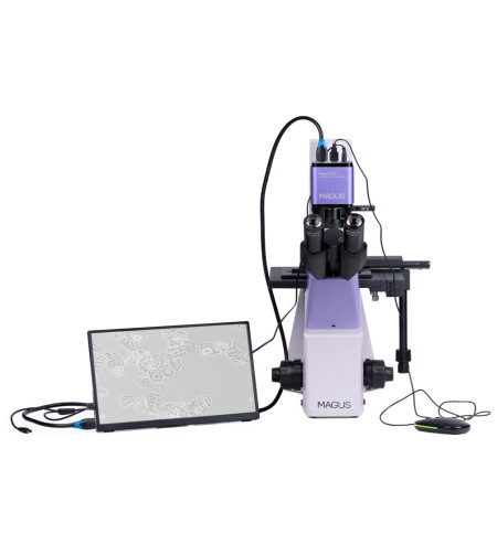 Bioloogiline ümberpööratud digitaalmikroskoop MAGUS Bio VD300 LCD-ekraaniga