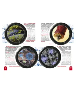 Микромир (RU)