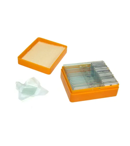 Paruoštų mikropreparatų rinkinys Levenhuk N20 NG