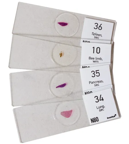 Levenhuk N80 NG "See it all" Slides Set