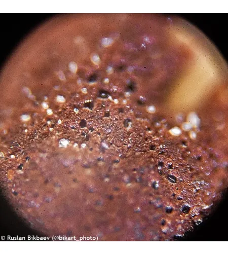 Mикроскоп Levenhuk Rainbow 50L PLUS Amethyst 64x–1280x с экспериментальным комплектом К50