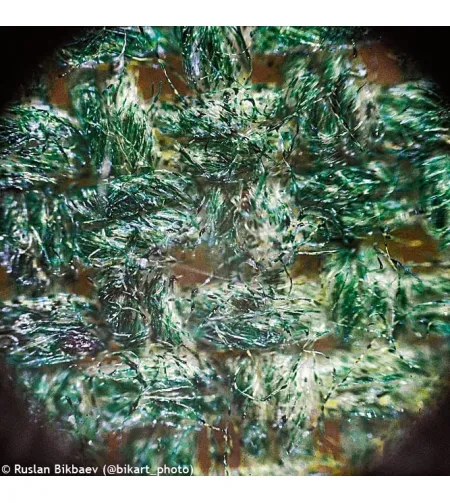 Mикроскоп Levenhuk Rainbow 50L PLUS Azure 64x–1280x с экспериментальным комплектом К50