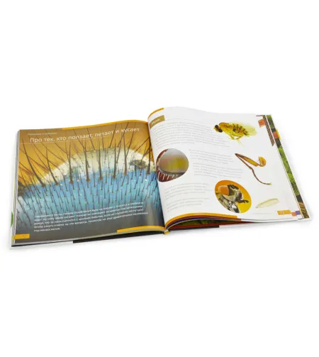 Book (Невидимый мир. Книга знаний Levenhuk rus.)