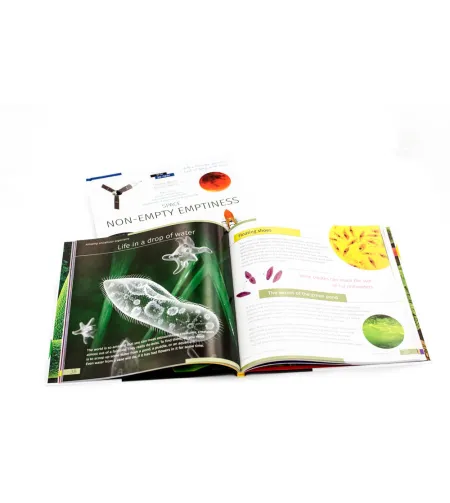 Space. Microworld. Knowledge book (two-volume edition)