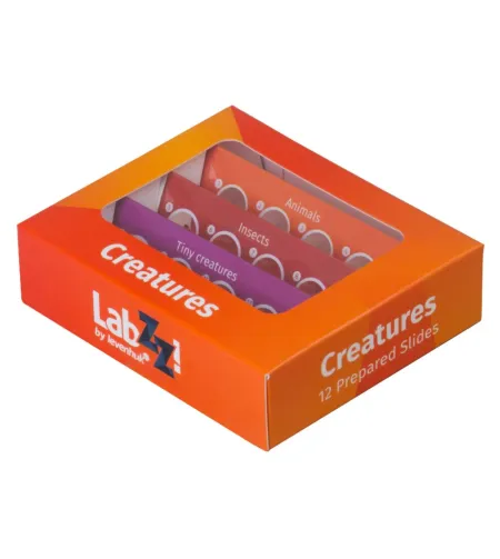 Набор микропрепаратов Levenhuk LabZZ C12, существа