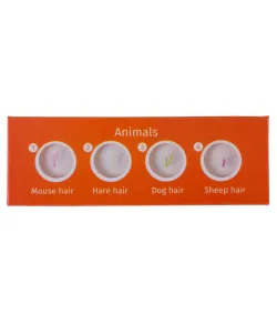 Paruoštas skaidrių rinkinys „Levenhuk LabZZ C12&ldquo; Būtybės