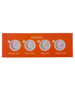 Набор микропрепаратов Levenhuk LabZZ C12, существа