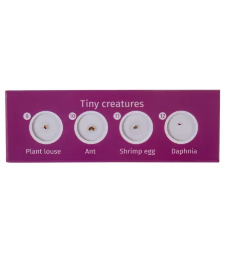 Набор микропрепаратов Levenhuk LabZZ C12, существа