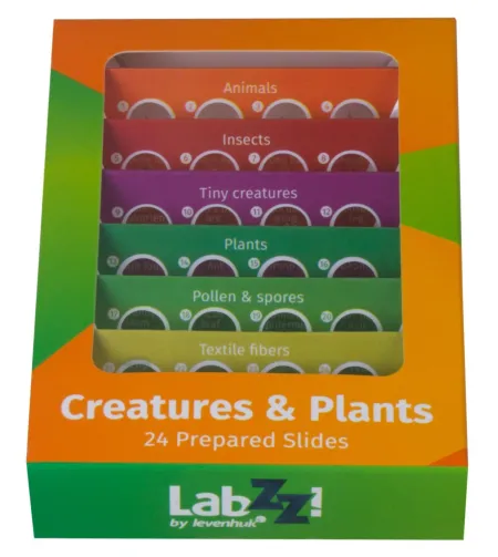 Levenhuk LabZZ CP24 Creatures & Plants Prepared Slides Set