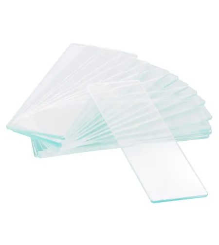 Levenhuk G50 1H Single Cavity Blank Slides, 50 vnt