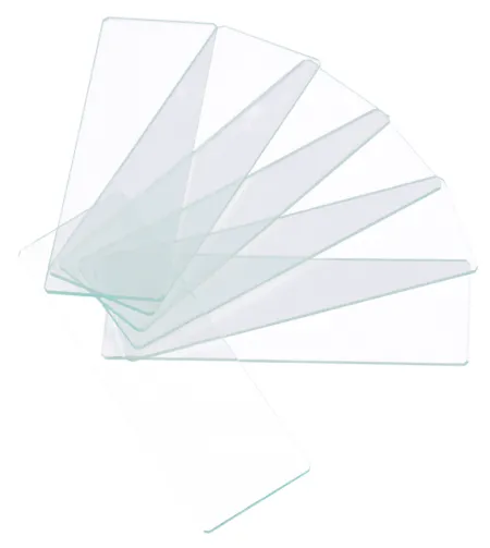 Levenhuk G50 1H Single Cavity Blank Slides, 50 vnt