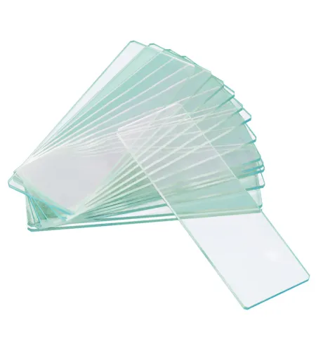 Levenhuk G50 2H Double Cavity Blank Slides, 50 vnt