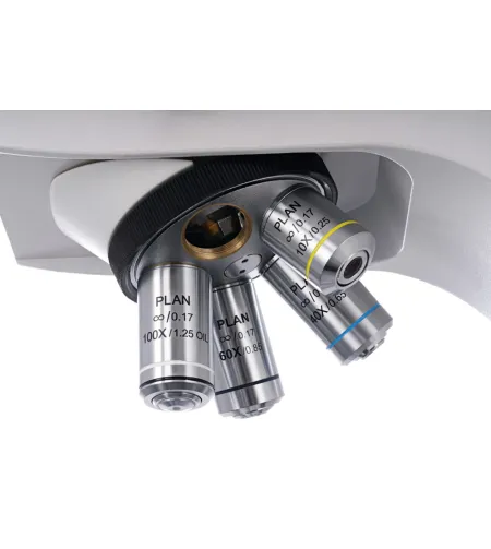 Binokulinis mikroskopas Levenhuk MED 40B