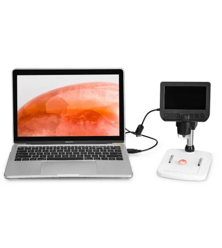 Skaitmeninis mikroskopas Levenhuk DTX 350 LCD 20x-300x