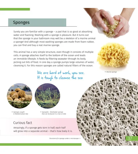 Невидимый мир. Книга знаний  (ENG)