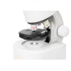 Microscope, Discovery Micro Polar, 40x-640x, with book