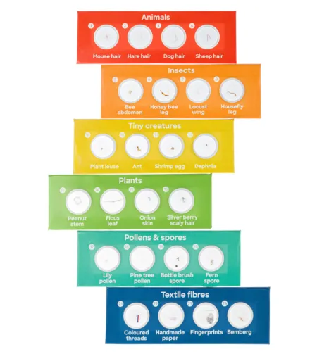 Mikroskopas, Discovery Micro Terra, 40x-640x, su knyga