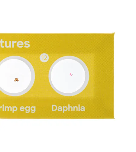 Discovery Fauna 12 Mikroskoobi slaidide valmistamine