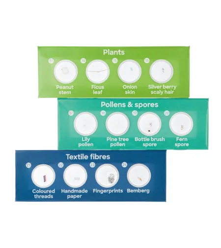 Discovery 12 Набор микропрепаратов флора