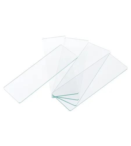 Discovery 50 tukši slaidi