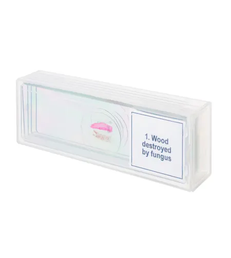 Набор микропрепаратов Discovery Prof DPS 5. «Мутации»