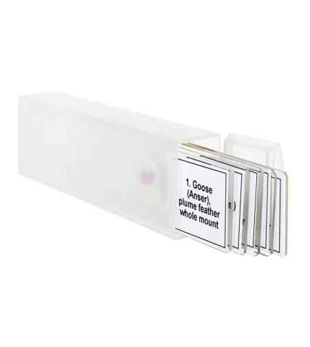 Набор микропрепаратов Discovery Prof DPS 5. «Птицы»