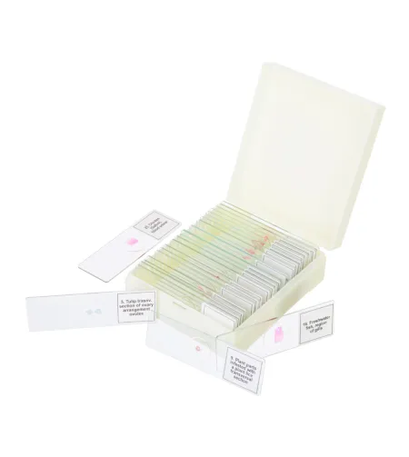 Набор микропрепаратов Discovery Prof DPS 25. «Биология, Птицы и др.»