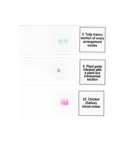 Набор микропрепаратов Discovery Prof DPS 25. «Биология, Птицы и др.»