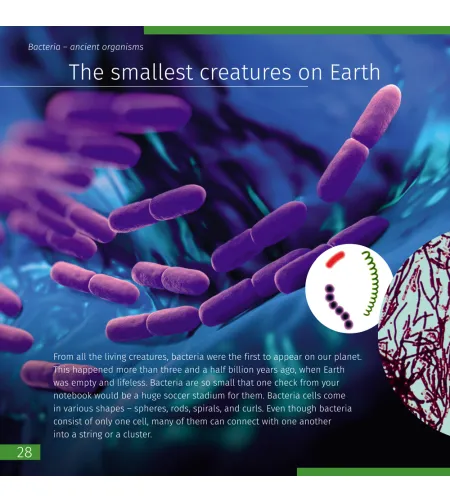 Space. Microworld. Knowledge Book 2 vol