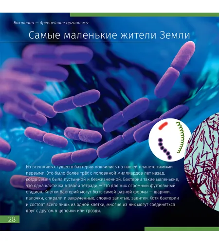 (RU) Space. Microworld. Knowledge Book 2 vol.