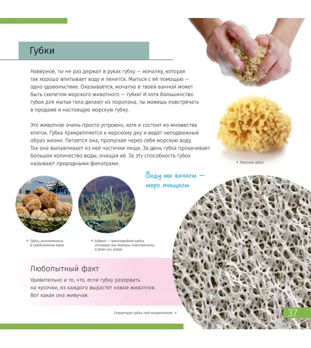 (RU) Space. Microworld. Knowledge Book 2 vol.