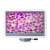 Микроскоп цифровой Levenhuk D85L LCD