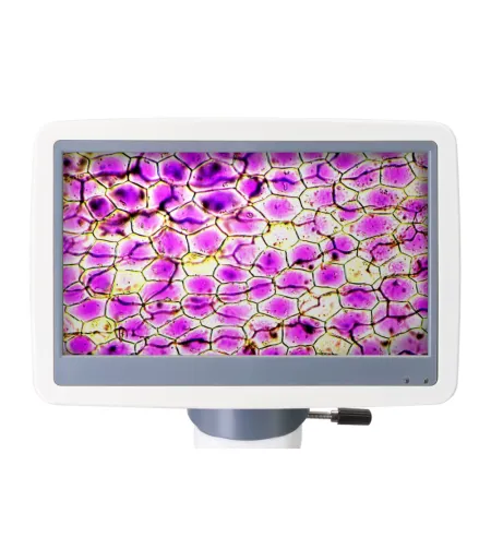 Микроскоп цифровой Levenhuk D85L LCD