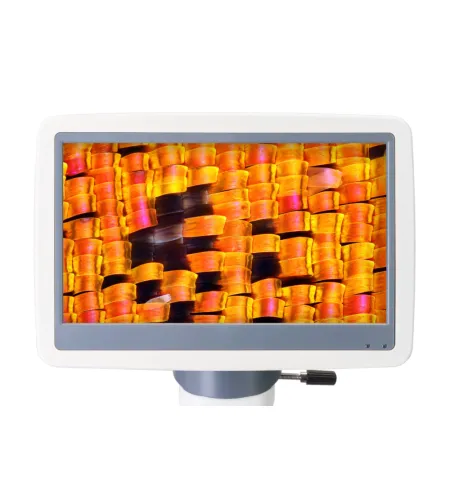 Микроскоп цифровой Levenhuk D95L LCD