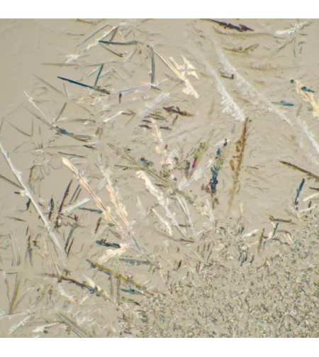 MAGUS Bio 230B biologinis mikroskopas