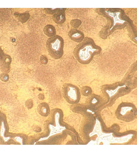 Metalurginis mikroskopas MAGUS Metal 650