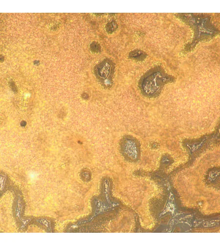 Metalurginis mikroskopas MAGUS Metal 650