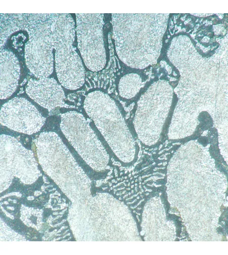 MAGUS Metal V700 metalurginis apverstas mikroskopas