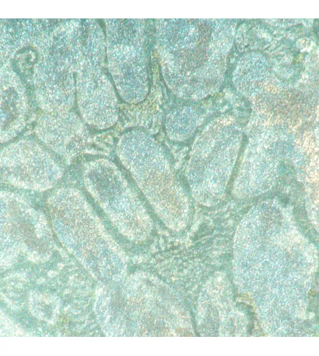 MAGUS Metal V700 metalurginis apverstas mikroskopas