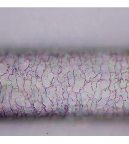 Poliarizuojantis mikroskopas MAGUS Pol 800