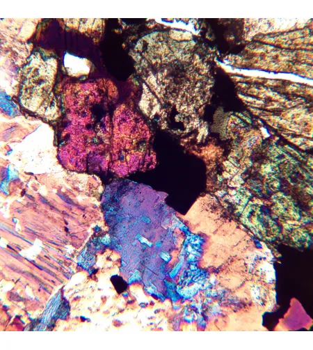 Poliarizuojantis mikroskopas MAGUS Pol 850