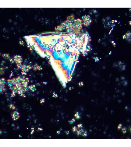 Poliarizuojantis mikroskopas MAGUS Pol 850