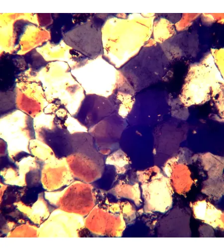 Poliarizuojantis mikroskopas MAGUS Pol 850