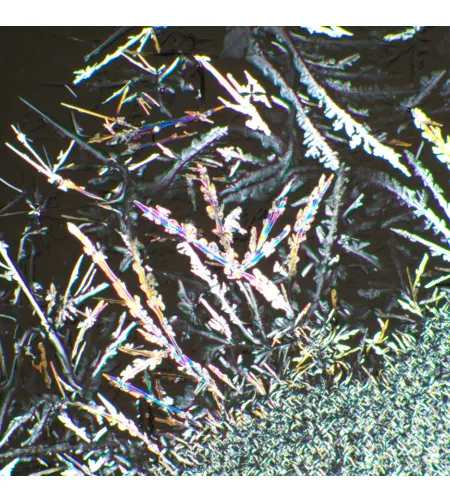 MAGUS SPD1 poliarizatoriaus/analizatoriaus rinkinys