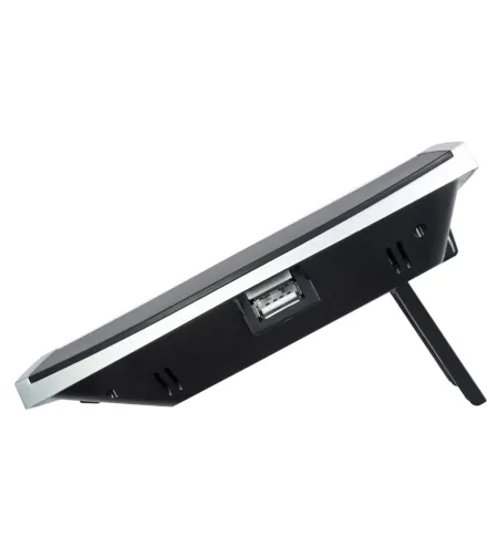 Levenhuk Wezzer PRO LP300 Weather Station