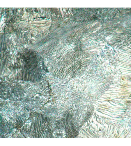 MAGUS Metal D630 BD metalurginis skaitmeninis mikroskopas