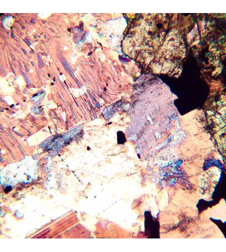 MAGUS Pol D800 poliarizuojantis skaitmeninis mikroskopas