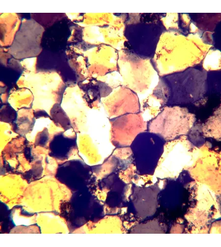 MAGUS Pol D800 poliarizuojantis skaitmeninis mikroskopas