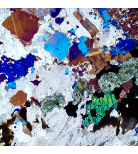 MAGUS Pol D800 LCD poliarizuojantis skaitmeninis mikroskopas